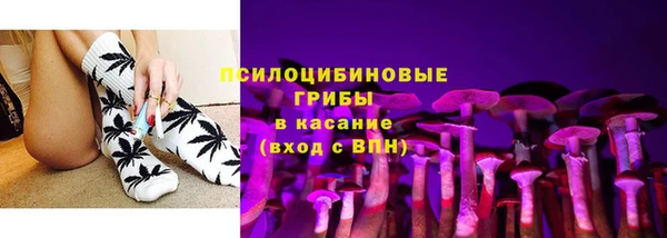 ПСИЛОЦИБИНОВЫЕ ГРИБЫ Алексеевка
