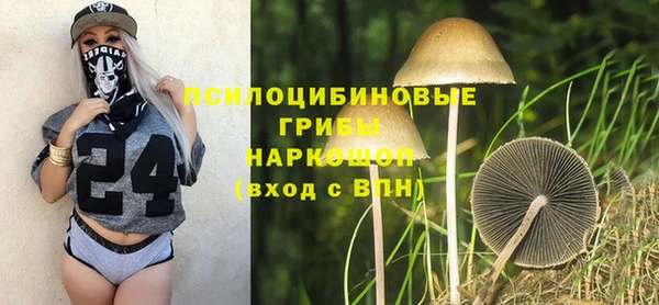 прущая мука Алексин