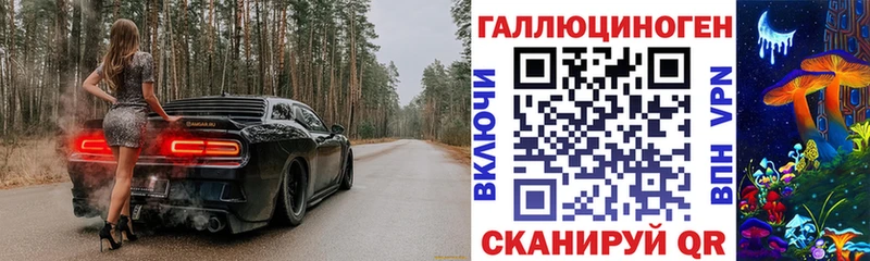 Псилоцибиновые грибы MAGIC MUSHROOMS гидра как зайти Черкесск где продают наркотики